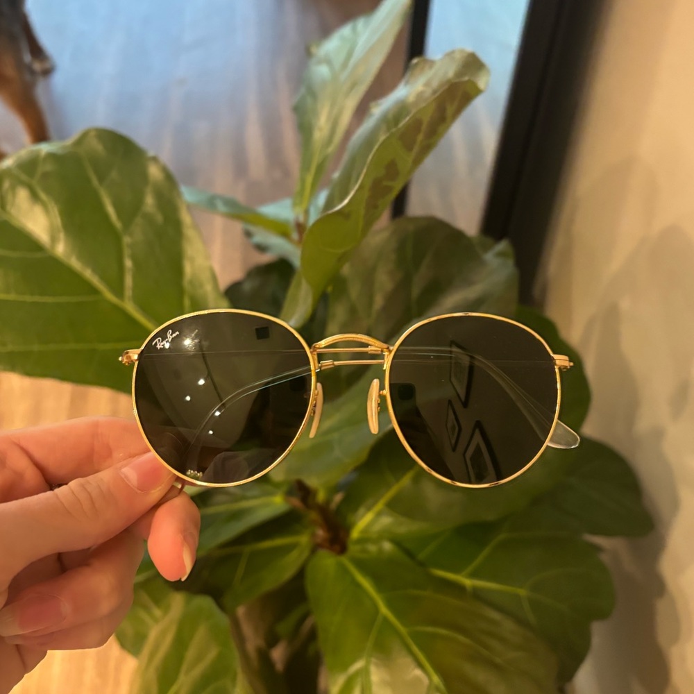 Rayban Sunglasses